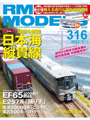 cover image of RM MODELS: 316号